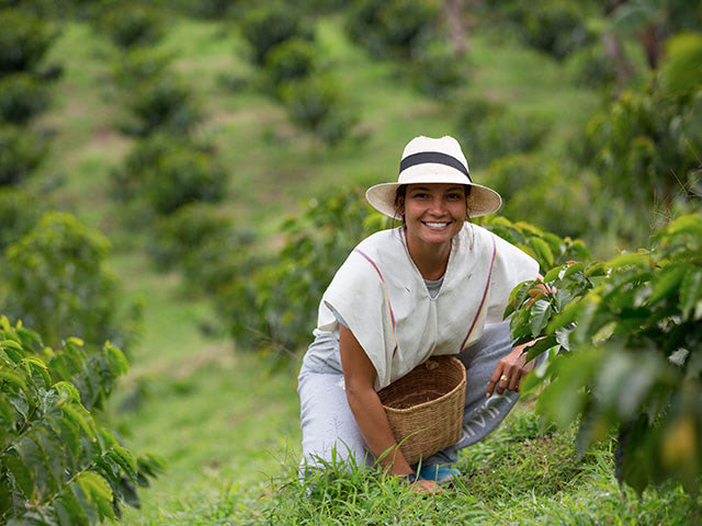 woman inbetween coffee plants