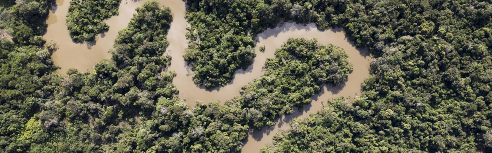 amazonas