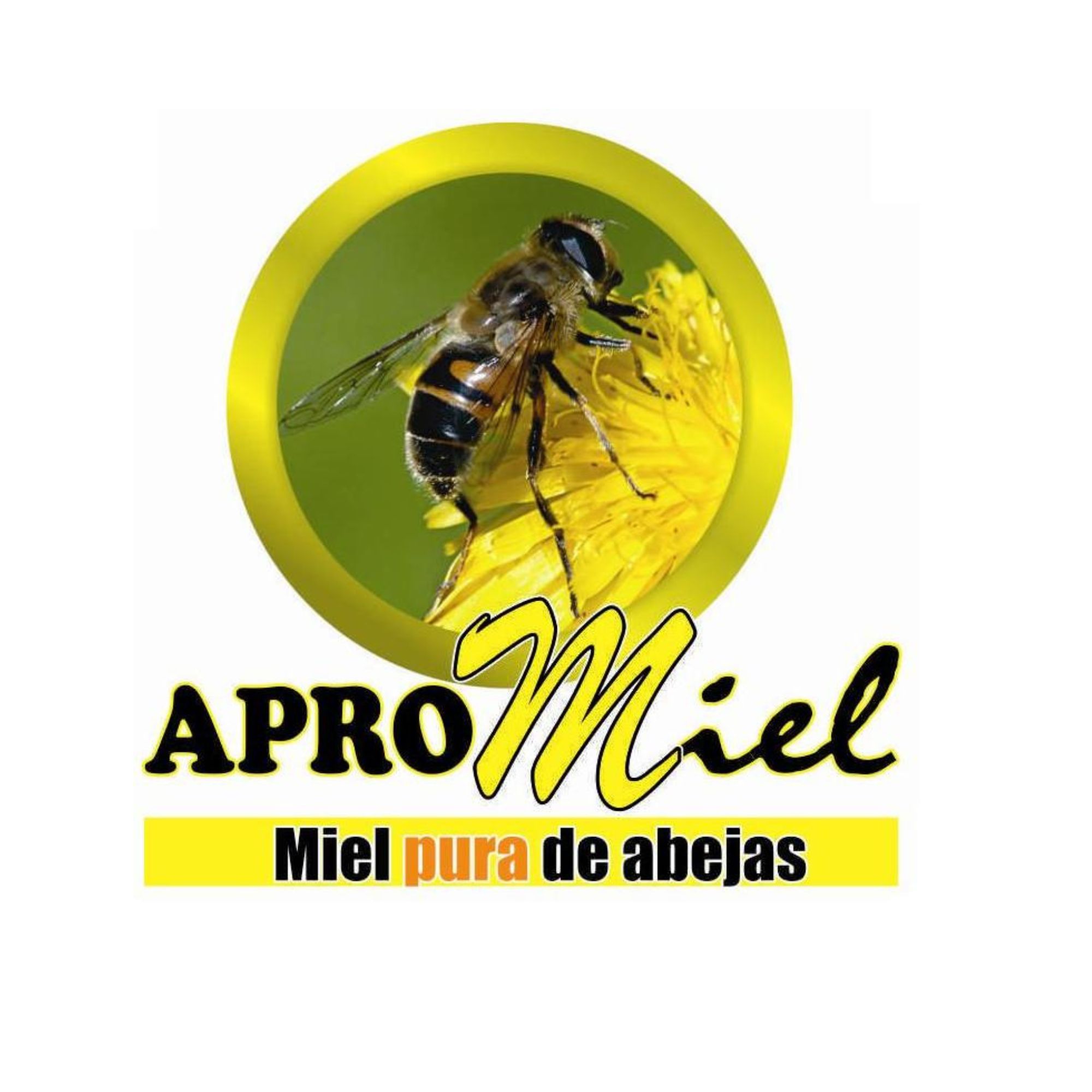 APROMIEL SAS