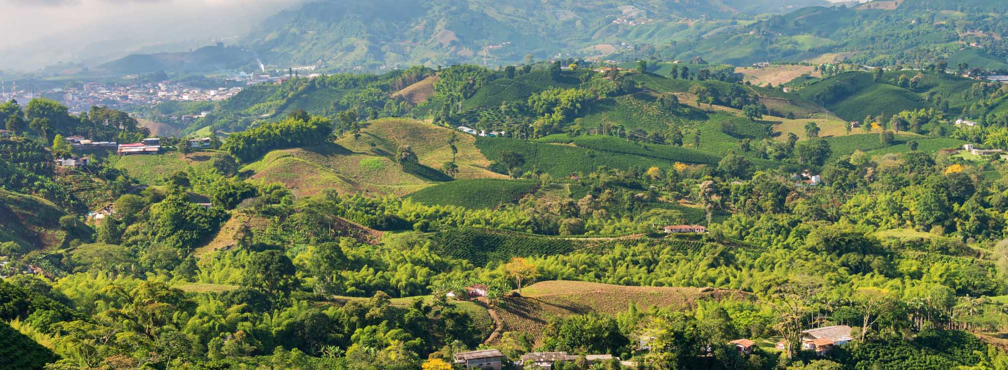 Paisaje del Eje Cafetero con montañas cubiertas de cafetales y vegetación, con un cielo parcialmente nublado.