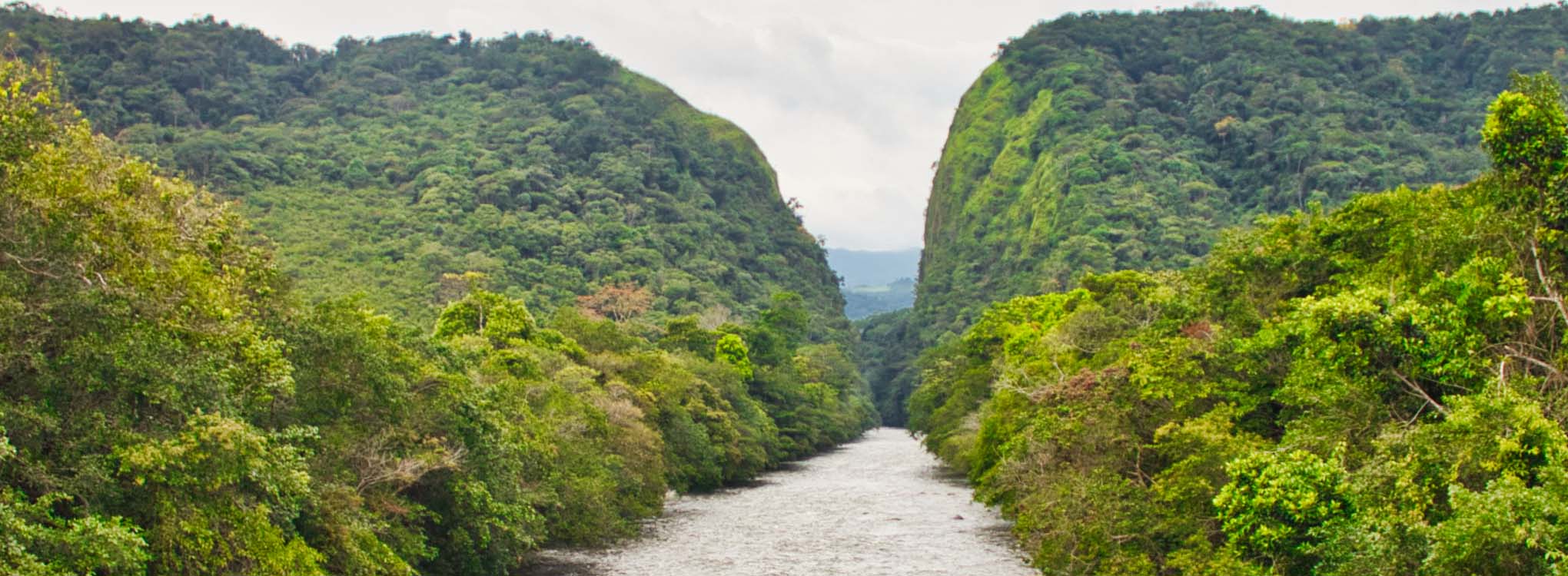 Río rodeado de densa vegetación tropical que atraviesa un cañón con colinas verdes bajo un cielo nublado.