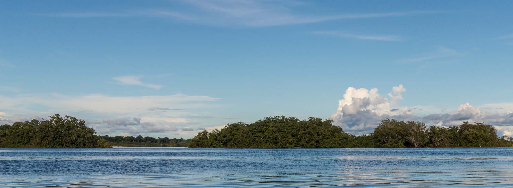 Paisaje de un río amplio rodeado de vegetación densa y un cielo despejado con algunas nubes.