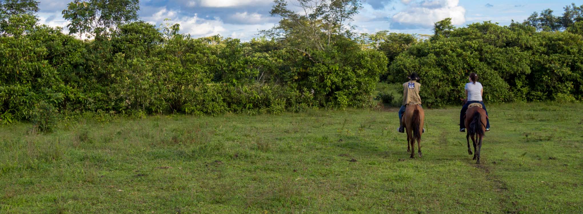 Dos personas montando a caballo en un campo verde, con árboles densos al fondo bajo un cielo parcialmente nublado.