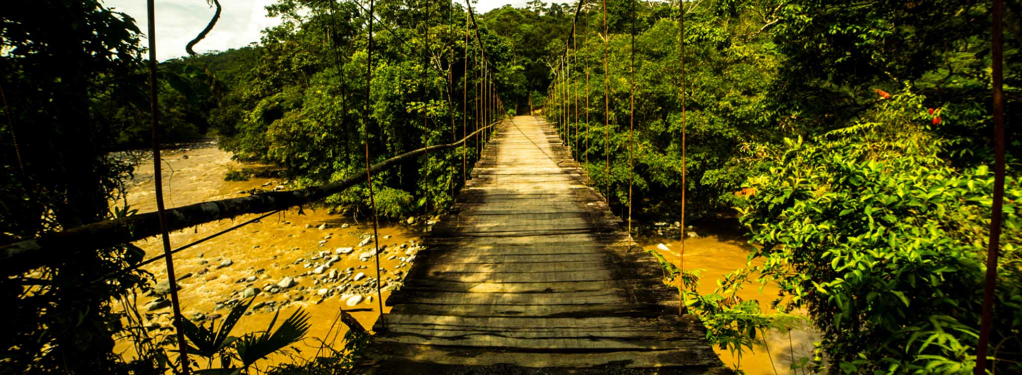 Puente colgante de madera sobre un río rodeado de densa vegetación en Mocoa.