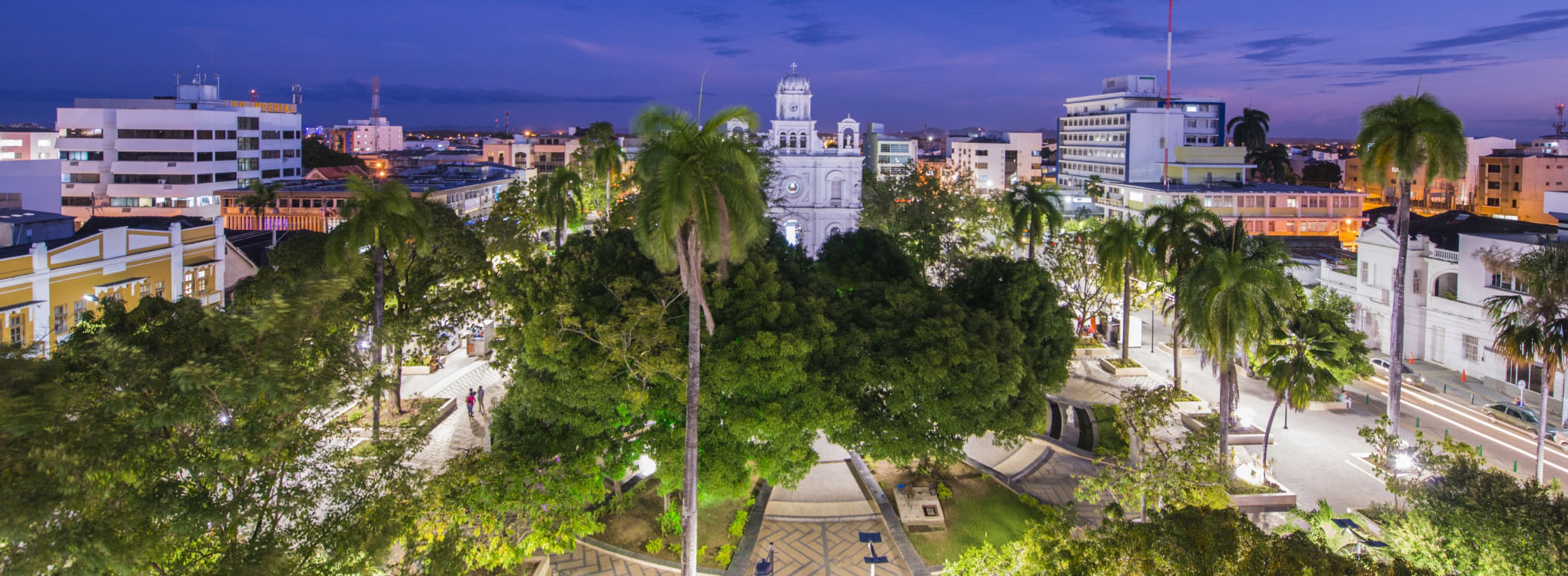 Vista nocturna de una plaza con abundantes árboles y una catedral blanca al fondo, rodeada de edificios iluminados en el centro de la ciudad.