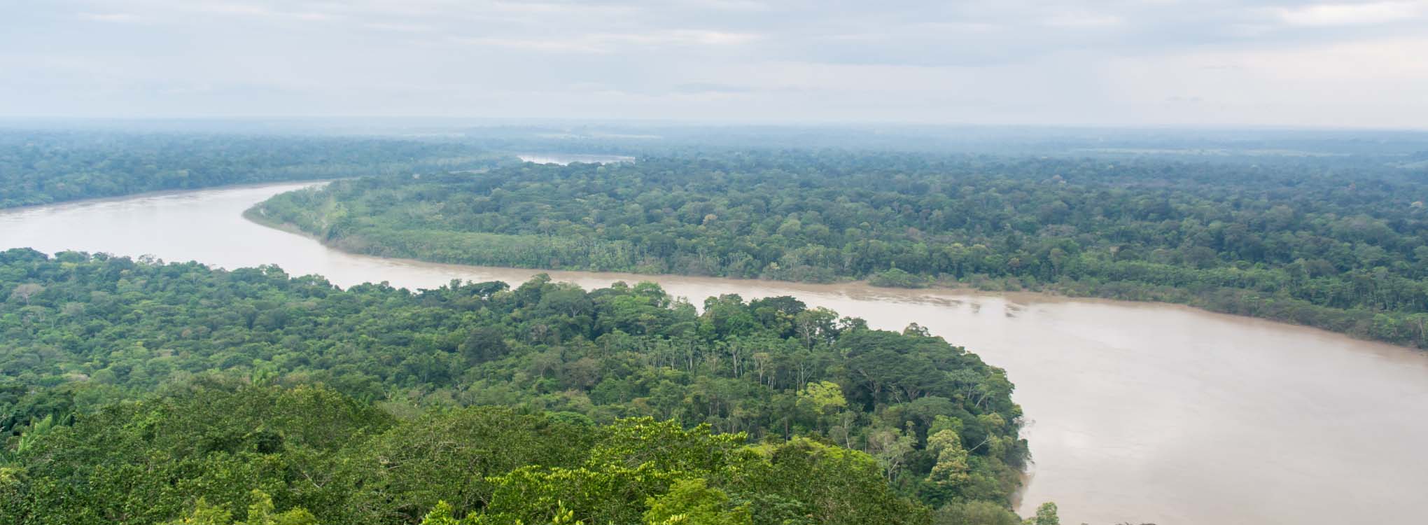 Vista panorámica del río Guaviare rodeado de la exuberante selva tropical.