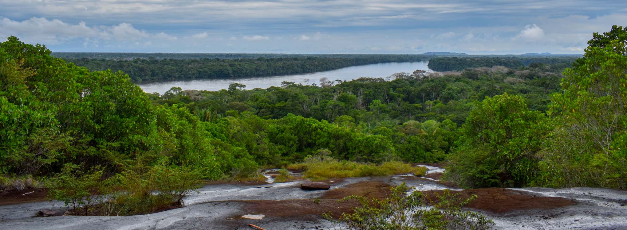 Vista panorámica de un río rodeado por densa vegetación de selva tropical, con un cielo nublado.