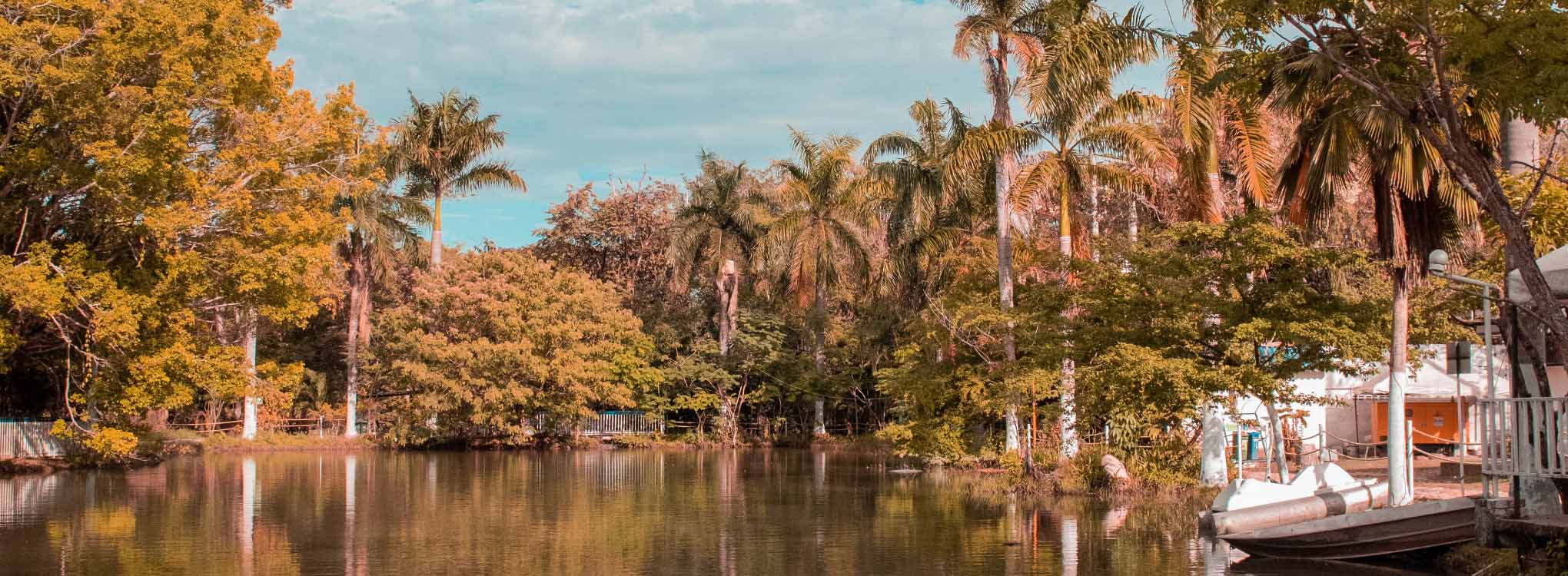 Paisaje con un lago rodeado de árboles y palmeras en Yopal.