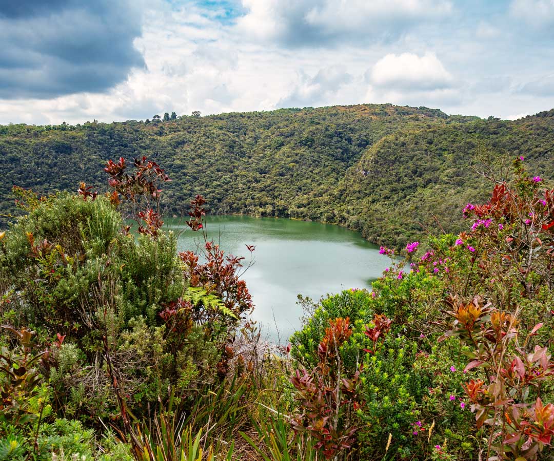 Vista de una laguna rodeada por montañas cubiertas de vegetación, con flores y arbustos.