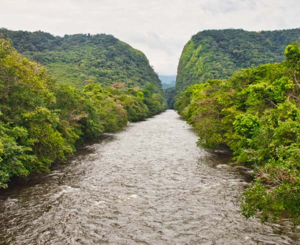 Río rodeado de densa vegetación tropical que atraviesa un cañón con colinas verdes bajo un cielo nublado.