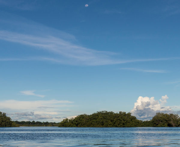 Paisaje de un río amplio rodeado de vegetación densa y un cielo despejado con algunas nubes.