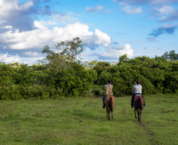 Dos personas montando a caballo en un campo verde, con árboles densos al fondo bajo un cielo parcialmente nublado.