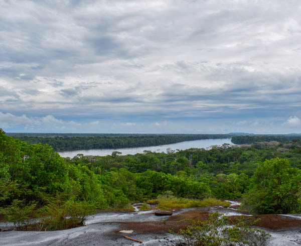 Vista panorámica de un río rodeado por densa vegetación de selva tropical, con un cielo nublado.