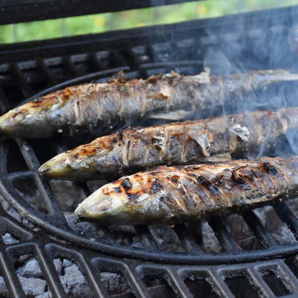 Pescado a la brasa