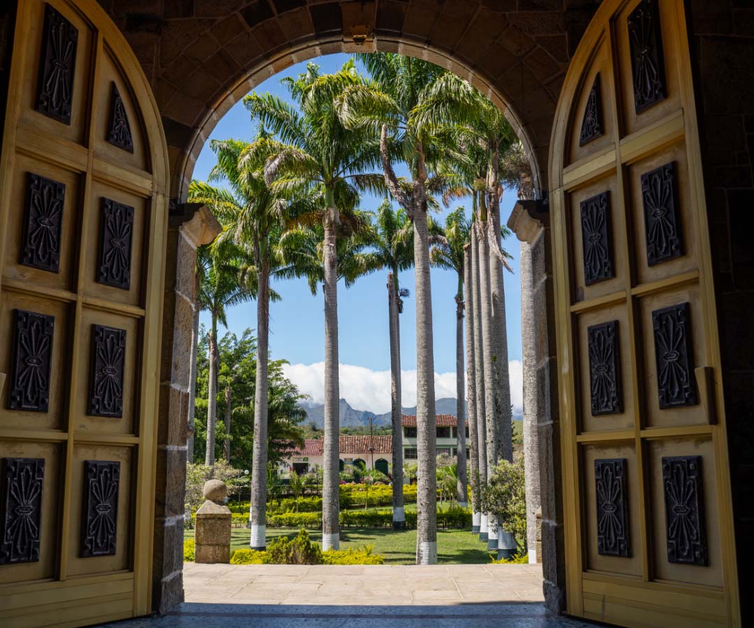 Vista desde el interior de una puerta de madera tallada hacia un jardín.