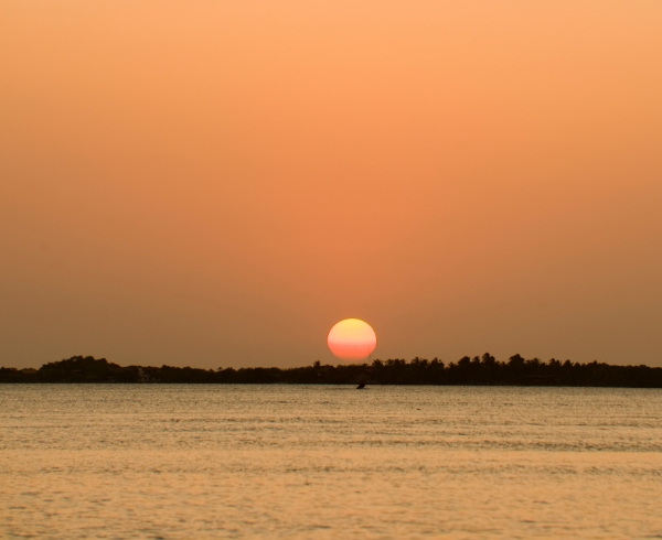 Atardecer con un sol anaranjado descendiendo sobre el horizonte, reflejado en el agua tranquila, con una silueta de árboles en la distancia.