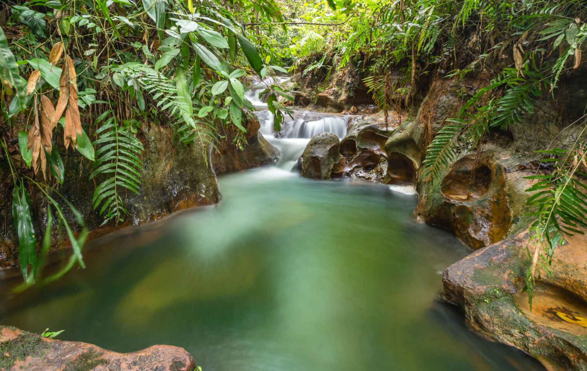 Cascada de agua cristalina rodeada de exuberante vegetación tropical y rocas.