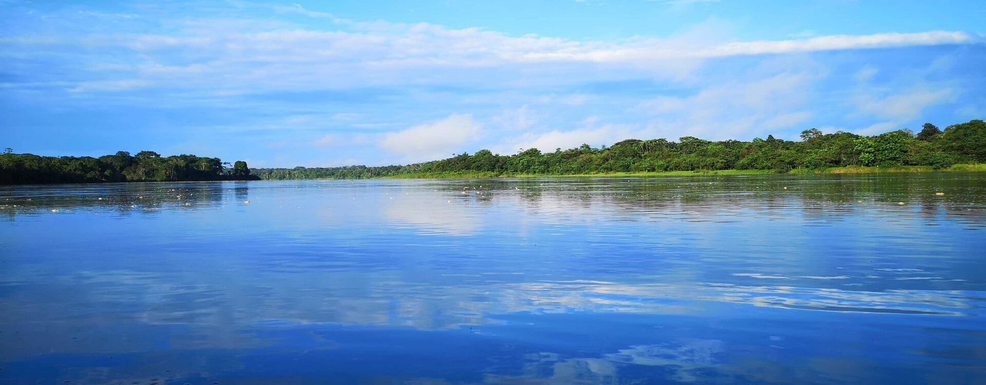 Paisaje fluvial amazónico.