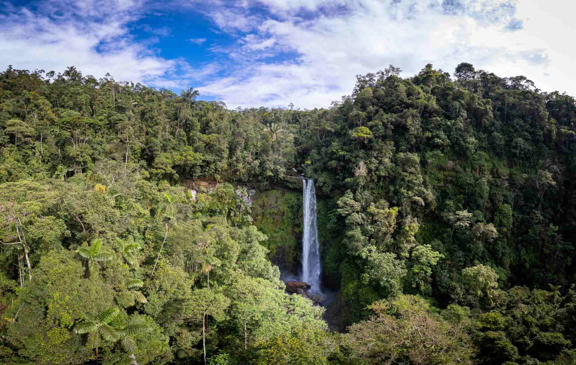 Imponente cascada rodeada de una densa selva tropical, cayendo desde una gran altura.