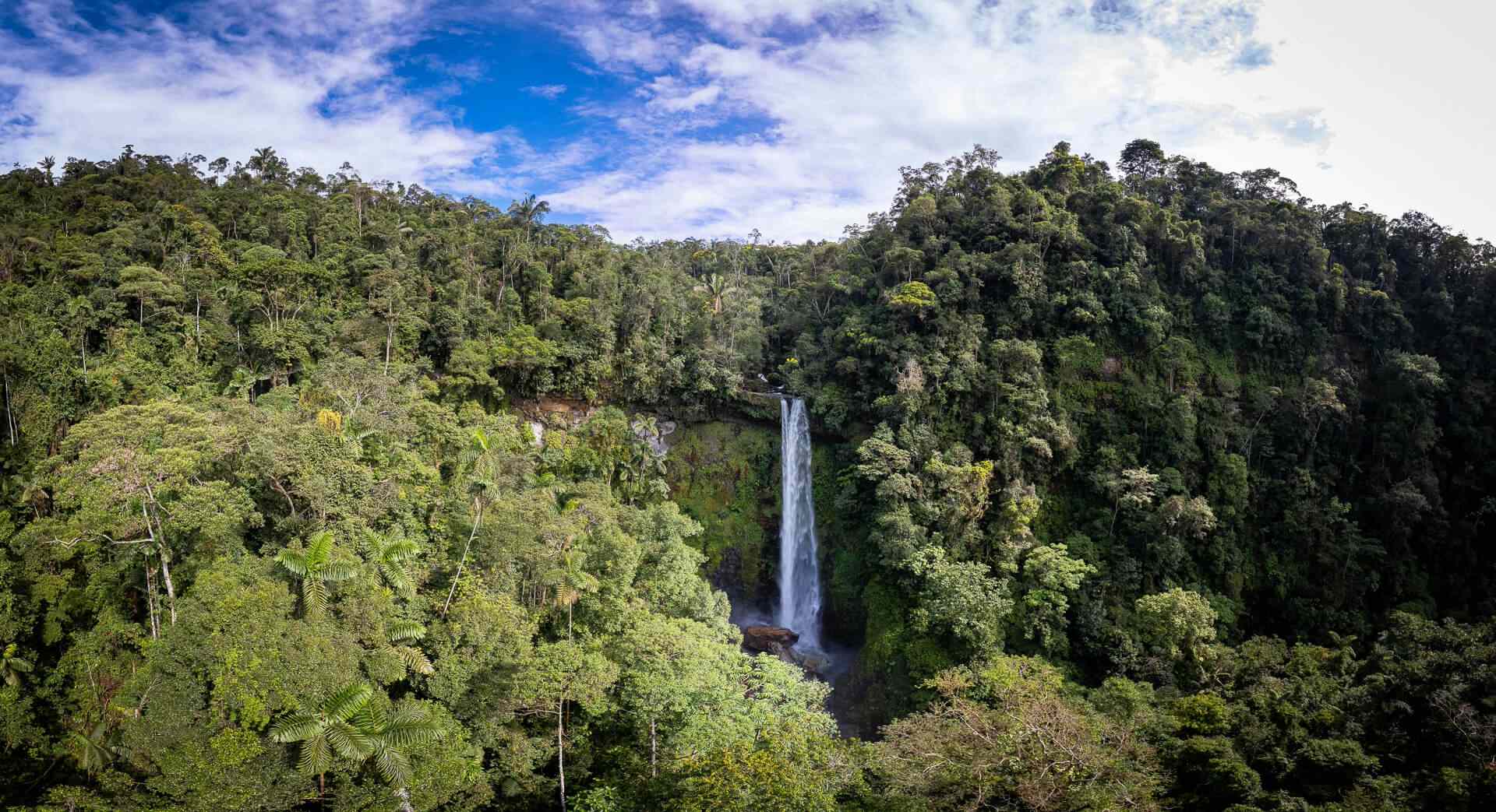 Cascada rodeada de vegetación.