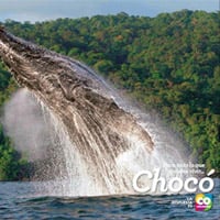 Chocó, el Pacífico es salvaje