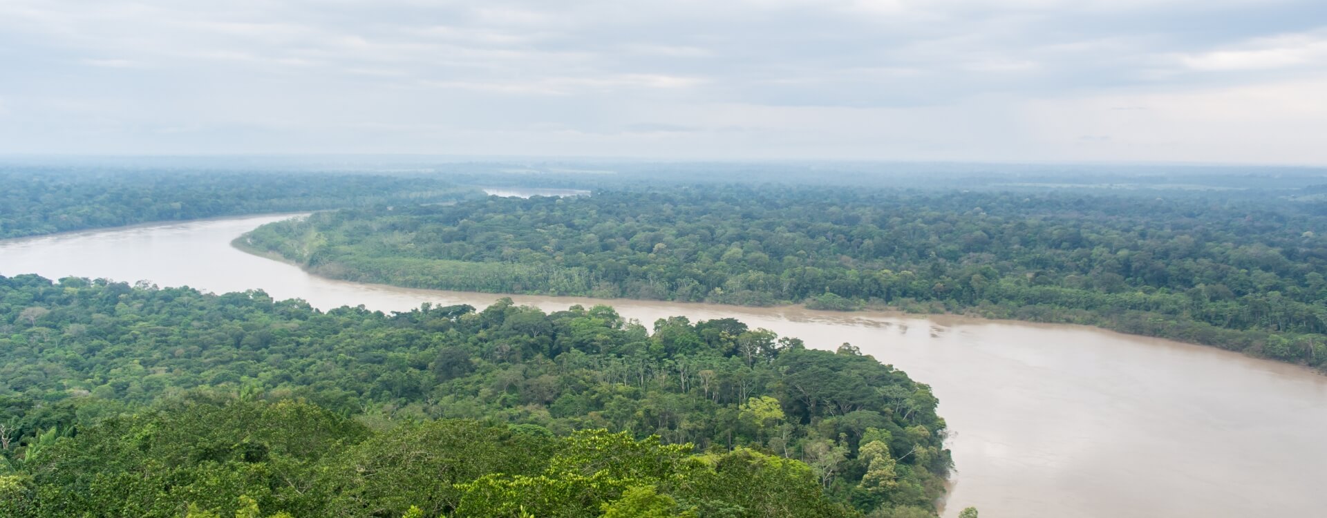 panorámica de un río serpenteante rodeado por un denso bosque tropical