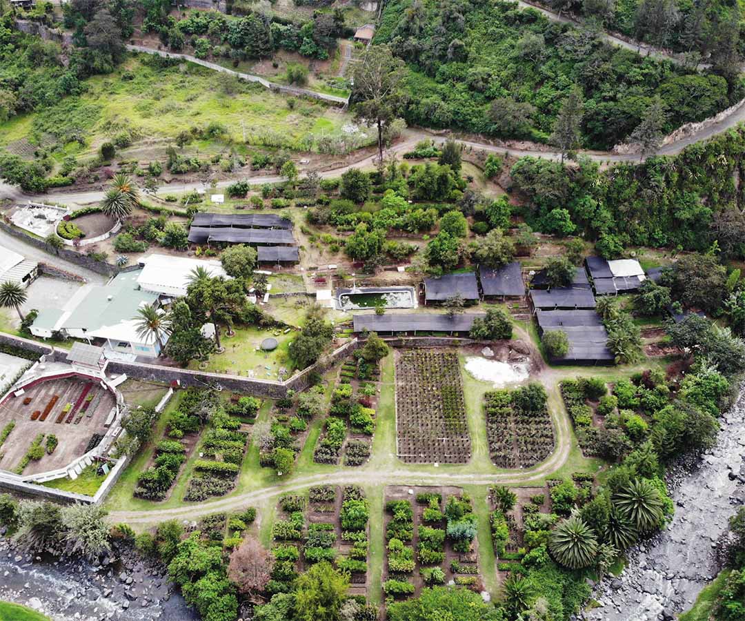 Vista aérea de un jardín botánico rodeado de naturaleza.