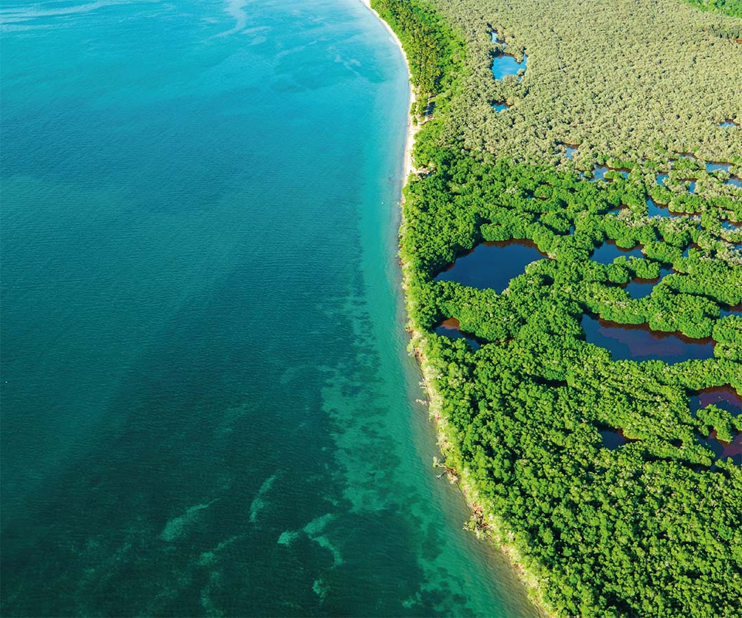 Vista aérea de manglares junto a aguas turquesas en Sincelejo, mostrando un contraste natural entre la vegetación frondosa y el océano.