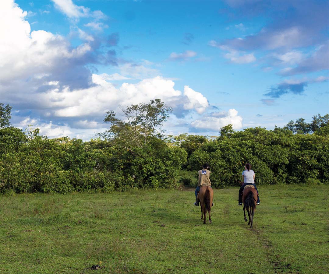 Dos personas montando a caballo en un campo abierto rodeado de vegetación en Arauca.