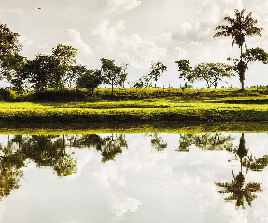 Paisaje rural con un lago y árboles reflejados en el agua.