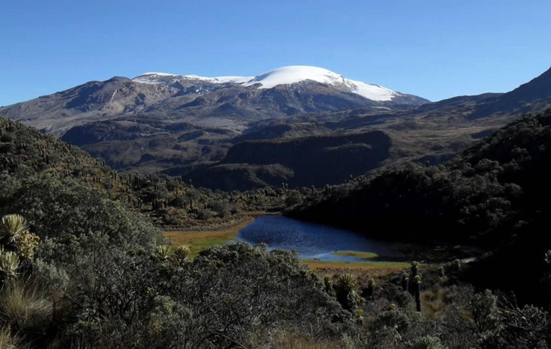 Parque Nacional de los Nevados