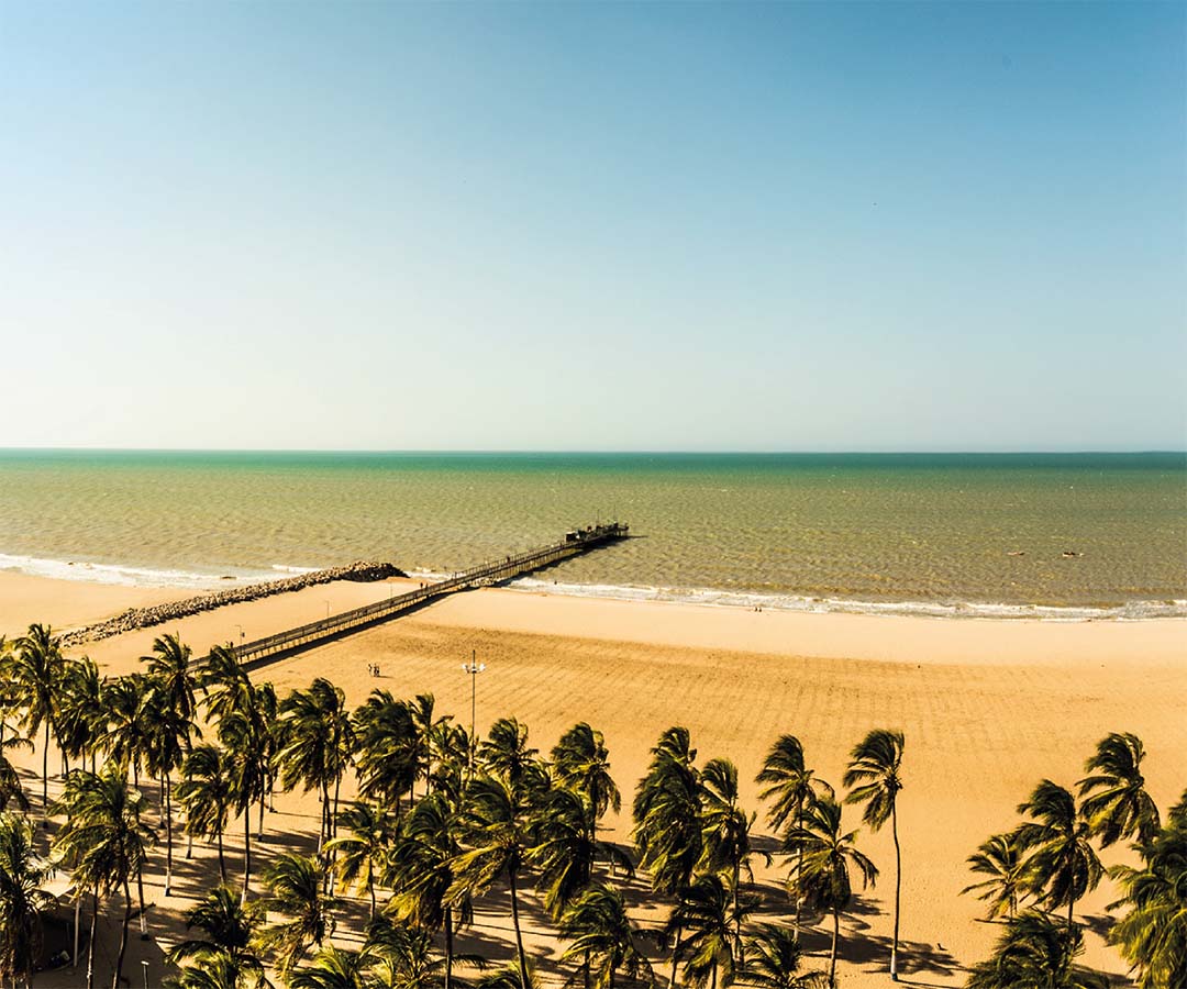 Playa de Riohacha con un muelle que se extiende hacia el mar, palmeras que adornan la costa.