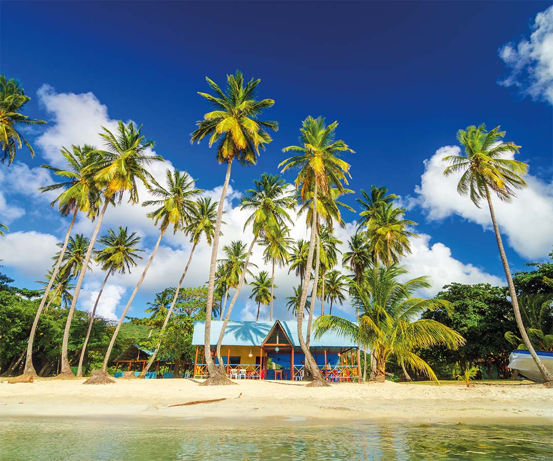 Playa de San Andrés con palmeras altas, arena blanca y una colorida cabaña tropical, bajo un cielo azul despejado.