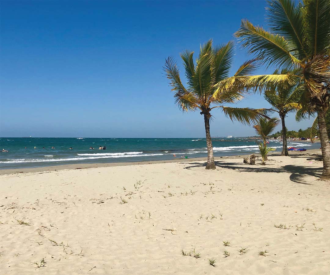 Playa de Sincelejo con arena blanca, palmeras y aguas turquesas, en un día soleado bajo un cielo azul despejado.