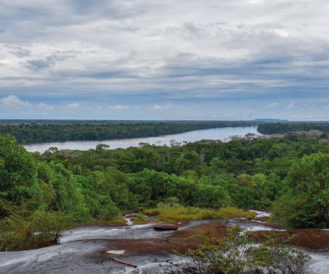 Río Amazonas serpenteando a través de la selva.