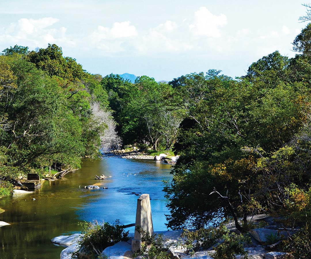 Paisaje natural del río Guatapurí en Valledupar, rodeado de frondosa vegetación y aguas cristalinas.