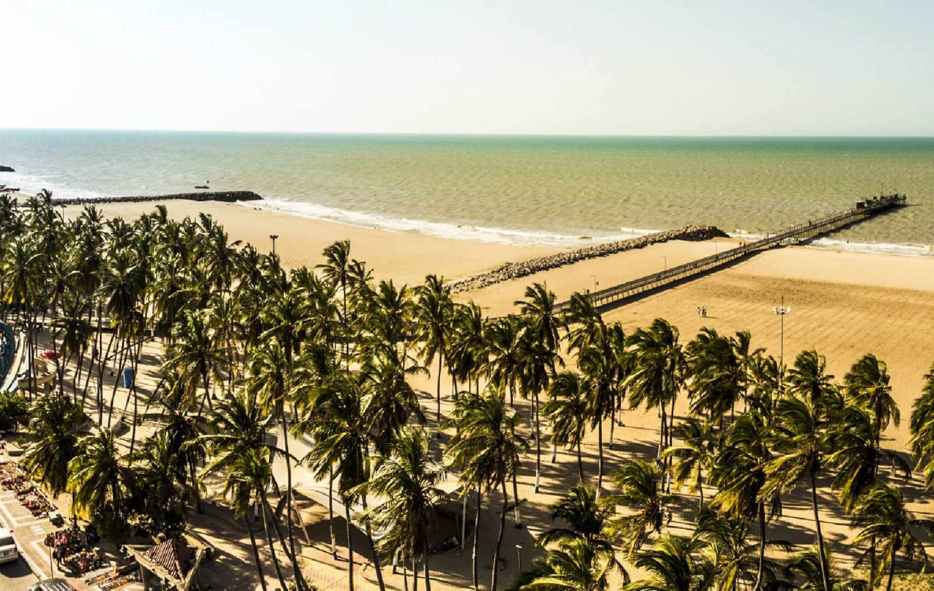 playa tropical con palmeras, un muelle que se extiende hacia el mar.