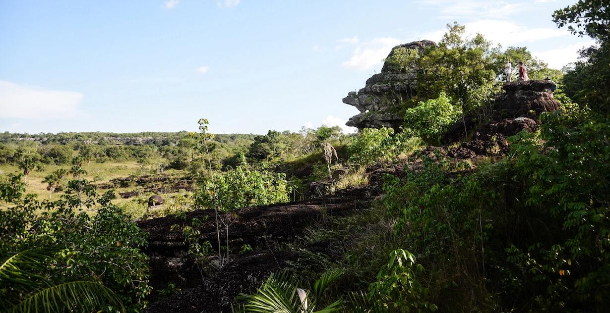 panorámica de un río serpenteante rodeado por un denso bosque tropical 