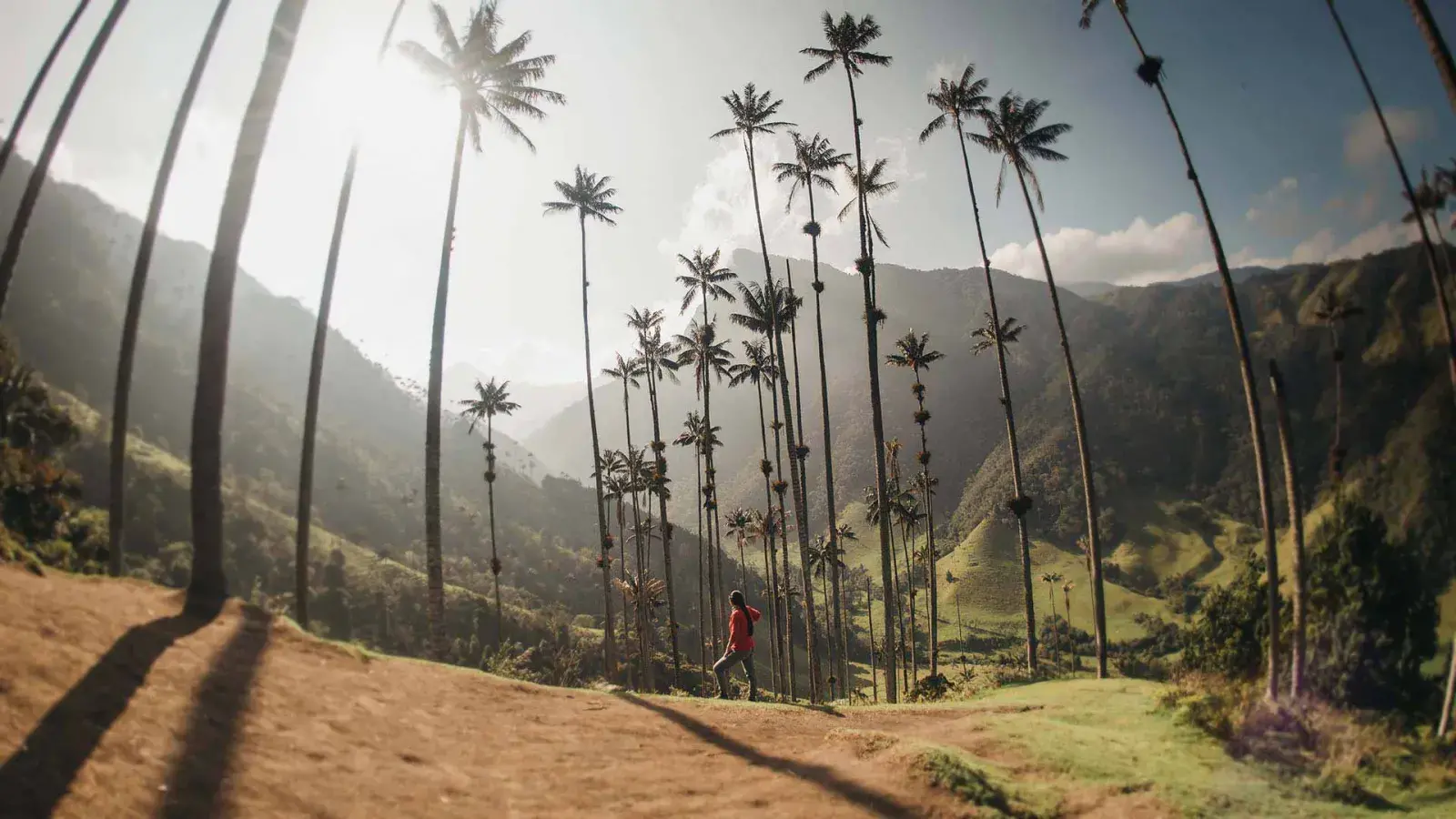 El Valle del Cocora 