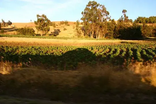 turismo agroecológico en Colombia, turismo en colombia, agricultura, parque agroecológico