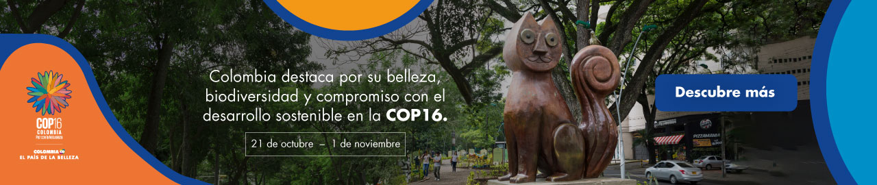 cop16