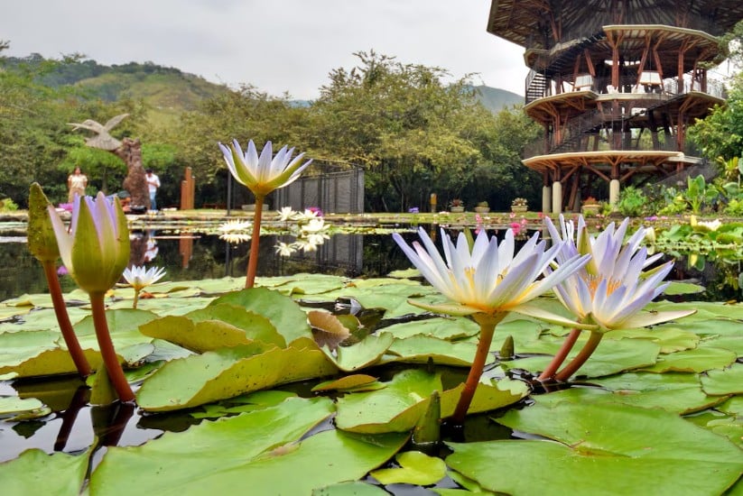 Jardín Botánico de Cali