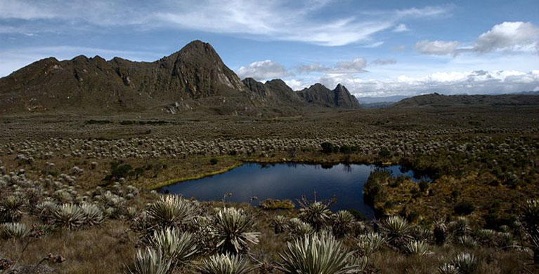 fotografía del paramo de sumapaz ubicado en colombia, Páramos en Colombia, páramos colombianos, Páramo de Sumapaz