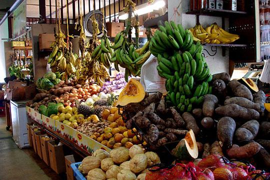 Fogón Colombia, Manifiesto Fogón Colombia, gastronomía colombiana, platos colombianos
