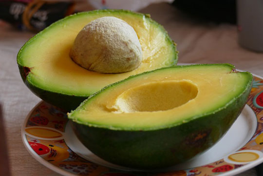 Exportaciones colombianas, exportaciones de Colombia, aguacate, frutas colombianas, exportación de frutas colombianas