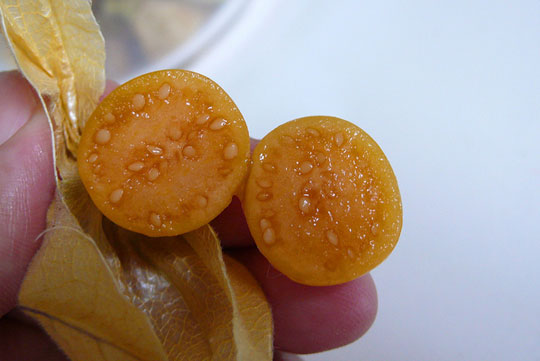 Frutas de Colombia, exportaciones de Colombia, frutas colombianas de exportación, uchuva