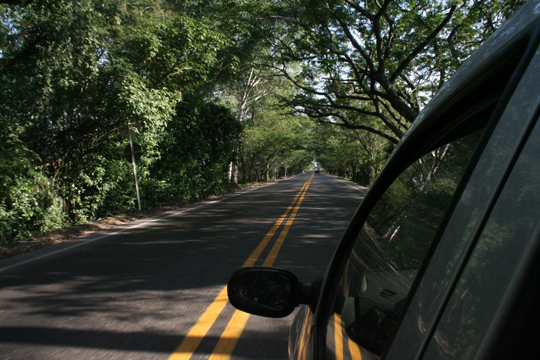 Foto: Diana Sierra