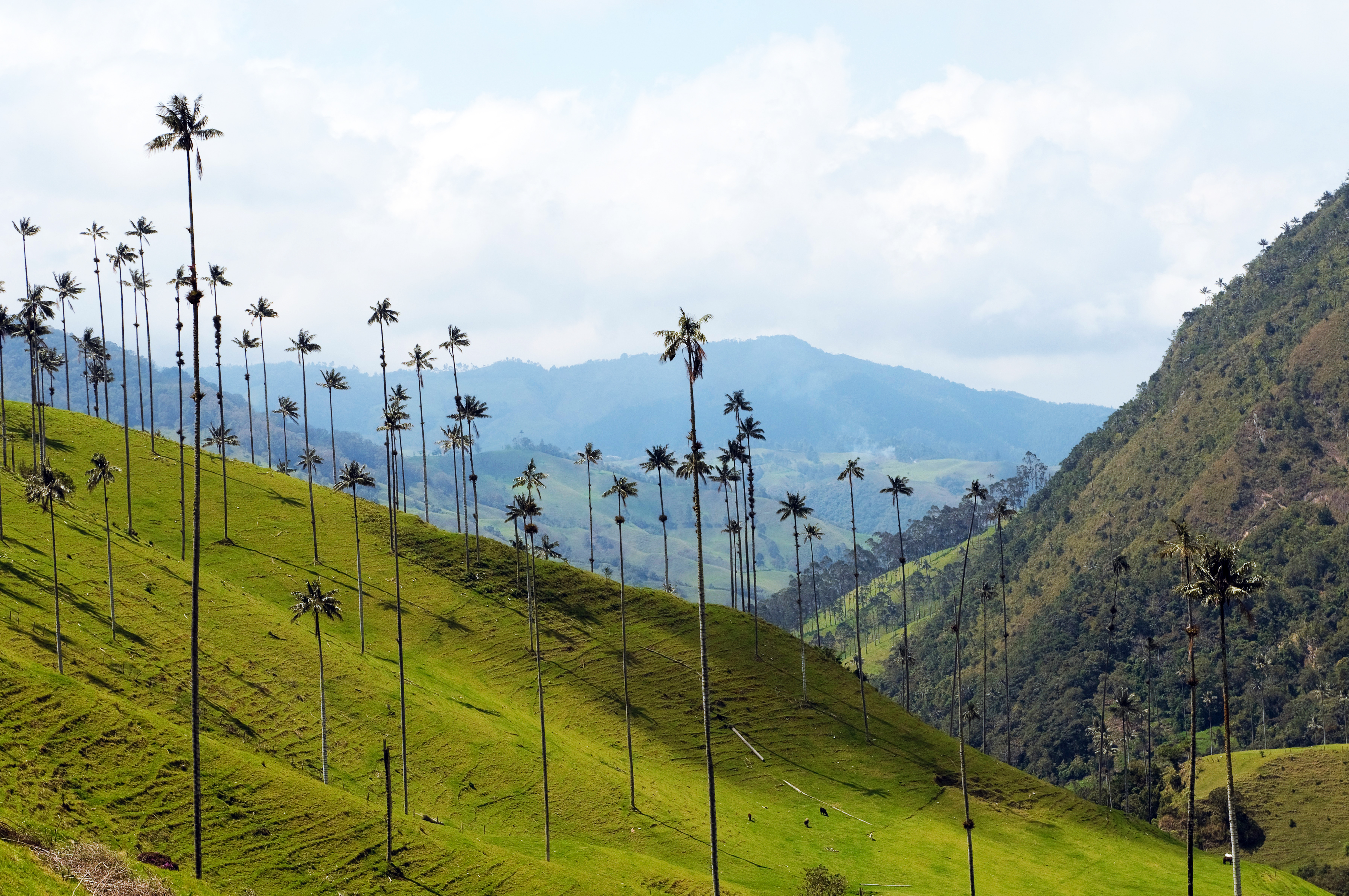 destinos-para-viajar-con-niños-a-colombia