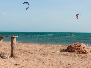 Perrito descansando junto a la playa mientras, al fondo, deportistas practican Kitesurf en el Cabo de la Vela