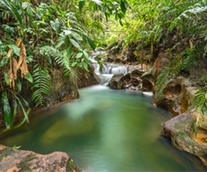 Paisajes colombianos, caqueta colombia el pais mas acogedor del mundo